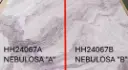 NEBULOSA A Y B .webp
