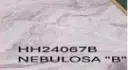 NEBULOSA B.webp