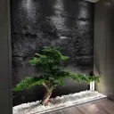 PIEDRA NEGRA 3D.webp