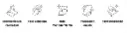 CARACTERISTICAS DE LAMBRIN .webp