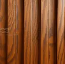 PAROTA 3.webp