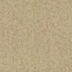 Ivory-Kashmere.webp