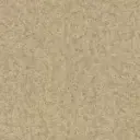 Ivory-Kashmere.webp