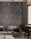 ARMANIGRAY.webp