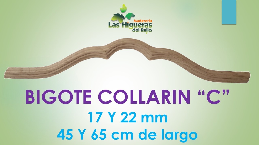 BIGOTE DE 65X22 C