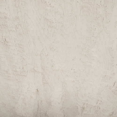 CANTO BIRD MAPLE 1514