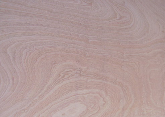 [TRISAPELI4.2] TRIPLAY SAPELLI 4.2X122 X244