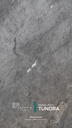 PANEL TUNDRA PARA PARED WPC  7MMX1.22MTX2.9MT WP11