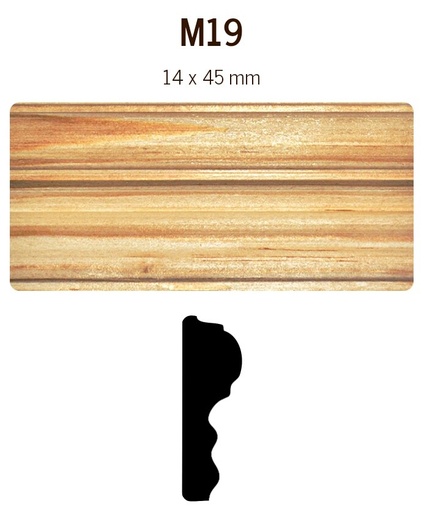 [MOLPTSM19] MOLDURA M19