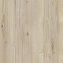 [CANWKMAPPLE] CANTO WHITE KNOTTY MAPPLE 7410-11